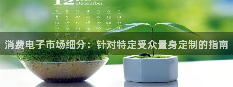 k8凯发集团|消费电子市场细分:针对特定受众量身定制的指南