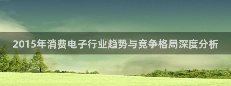k8凯发是做什么的|2015年消费电子行业趋势与竞争格局深度分析