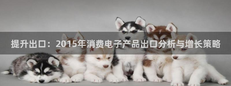 凯发K8天生赢家一触即发官网|提升出口:2015年消费电子产品出口分析与增长策略