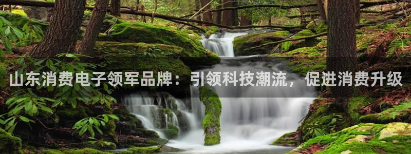 凯发ag旗舰厅网站下载|山东消费电子领军品牌:引领科技潮流,促进消费升级