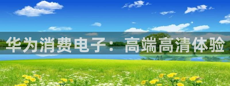 K8凯发国国际入口|华为消费电子:高端高清体验
