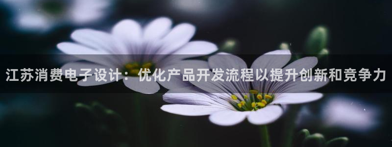 凯发k8手机客户端|江苏消费电子设计：优化产品开发流程以提升创新和竞争力
